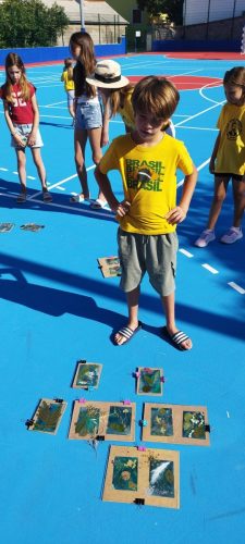 2026 Bozin porat-39