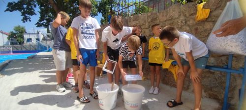 2026 Bozin porat 1-12
